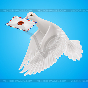 Dove white - vector clipart