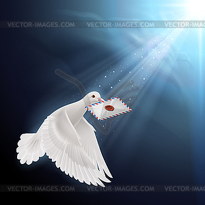 Dove white - vector clipart