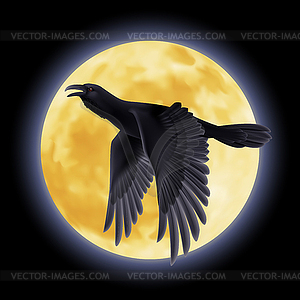 Black raven - vector image