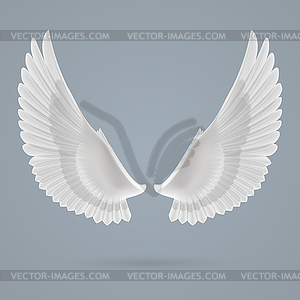 Inspire wings - vector clipart