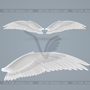 Inspire wings - vector image