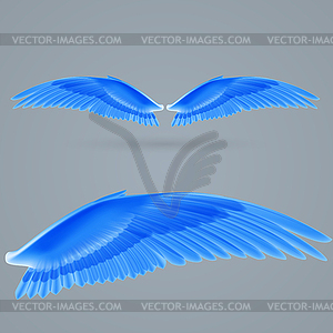 Inspire wings - vector image