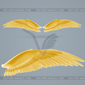 Inspire wings - vector image