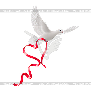 Dove - vector image