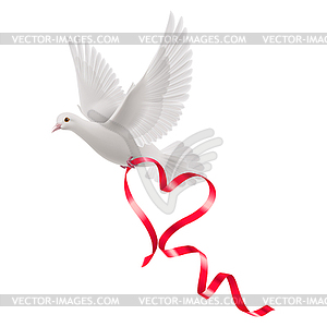 Dove - vector image