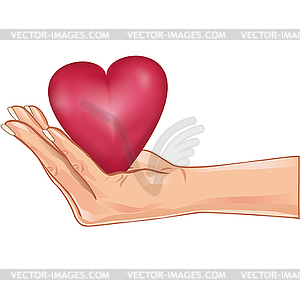 Красное сердце в руке - векторное изображение EPS
