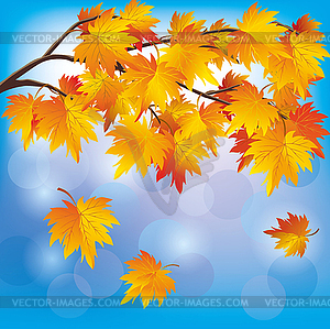 Autumn tree maple on blue background - vector image