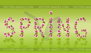 Spring word, sakura tree- Japanese cherry blossom - vector EPS clipart