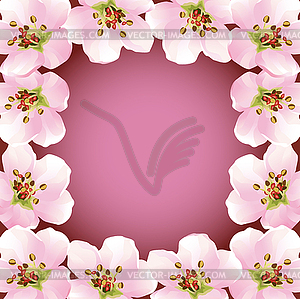 Frame with blossoming sakura - japanese cherry tree - vector image