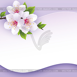 Greeting or invitation card with branch of sakura - vector EPS clipart