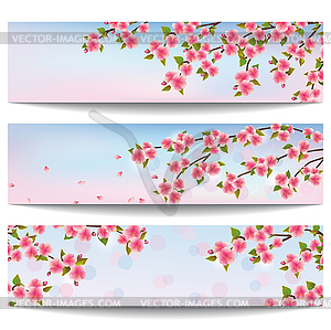 Set of beautiful banners with pink sakura cherry - vector clipart