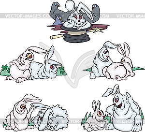 Comic pink ang gray rabbits - vector image