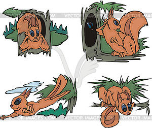 Comic squirrels in forest - vector clipart