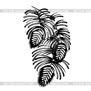 Decorative silhouette pine cone with pine needles - vector image