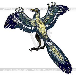 Archaeopteryx - vector image