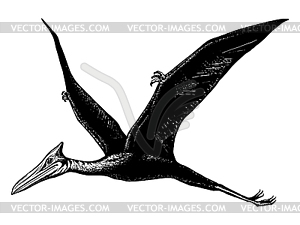 Pterodactyl - Quetzalcoatl - vector image