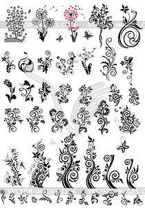 Decorative floral design elements (black and white) - vector image