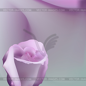 Нежный романтический фон с розовыми - изображение в векторе / векторный клипарт