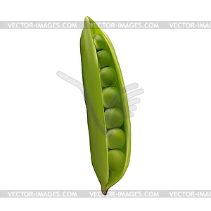 Photo-realistic green pod peas mesh - vector clip art