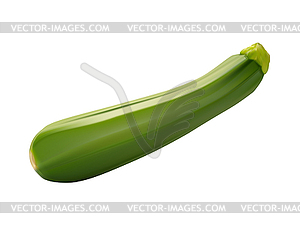 Photo-realistic green zucchini - vector clipart
