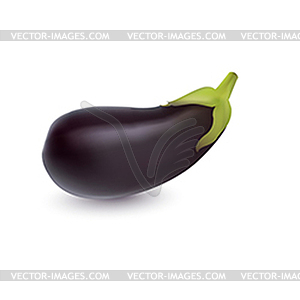 Eggplant purple with green handle - vector image