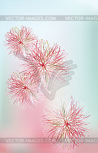 Spring greeting card with red mimosa - vector clipart