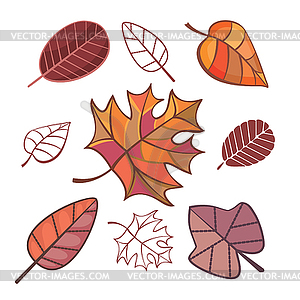 Набор из осенних листьев - клипарт в векторном виде