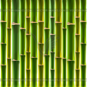 Green bamboo fence background - vector clip art