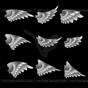 Set of wings - vector image