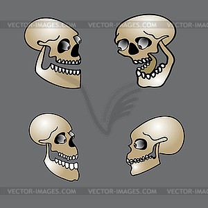 Набор Хэллоуин черепа - векторизованный клипарт