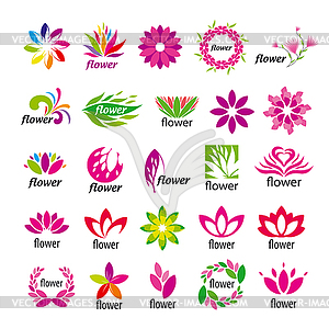 Collection of multicolored floral logos - vector clipart