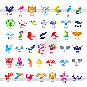 Biggest collection of logos birds - vector clipart