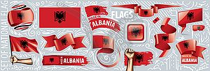 Set of national flag of Albania in various - color vector clipart