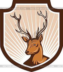 Deer Stag Buck Antler Head Shield - vector image