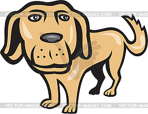 Retriever Dog Big Head Cartoon - vector clipart