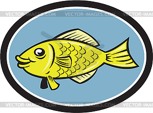Гурами Рыба Вид сбоку Овальный Мультяшный - клипарт в векторе / векторное изображение