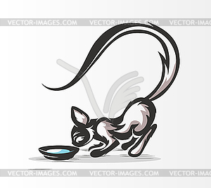 Cat drinking milk - vector clip art