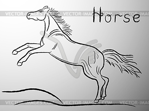 Graceful Horse contour - vector image