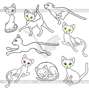 Eight contours of funny cats - vector image