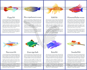 Satz Aquarium Fische Farbe S Vector Clipart Eps