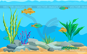 Multicolored Sea Animals Water Plants And Stones Vector Clip Art