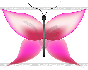 Butterfly - vector clipart