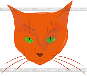 Ginger cat - vector clipart