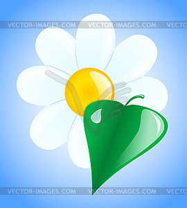 Flower and leaf - vector image