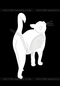 White cat - vector image