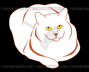 White cat - vector image