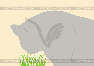 Cat and grass - vector clipart
