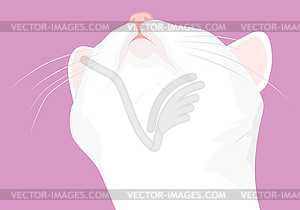 Muzzle white cat - vector clipart