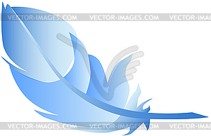 Feather - vector image