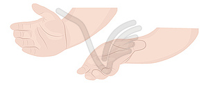 Two hands - color vector clipart